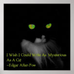 Chat mystérieux affiche