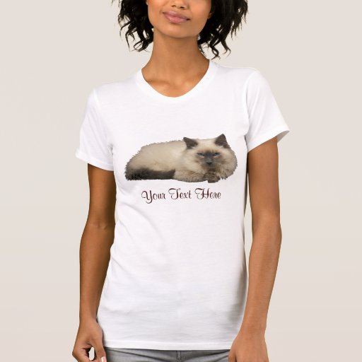 Chat persan t-shirt