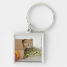 Chaton à l'intérieur de sac d'épicerie porte-clé