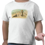 Chatons de plage t-shirts