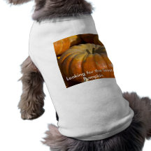 Chemise de chien :  Grand citrouille T-shirts Pour Animaux Domestiques