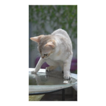 Cherie on Water Fotokarte