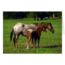 Chevaux Carte De Vœux