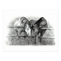 CHEVAUX DANS L'AMOUR : RÉALISME DE CRAYON CARTES POSTALES
