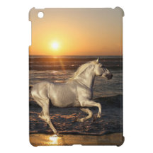 Chevaux d'imaginaire : Coucher du soleil