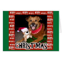 chien de Noël heureux Cartes De Vœux
