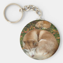 Chien de traîneau sibérien et Spitz Pomeranian de  Porte-clefs