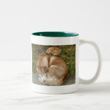 Chien de traîneau sibérien et Spitz Pomeranian de  Mug À Café