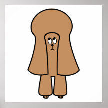 Chien mignon. Caniche brun chocolat de miniature/j Poster