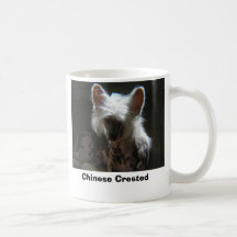 Chinese Crested Tee Haferl