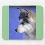 Chiot de chien de traîneau sibérien tapis de souris