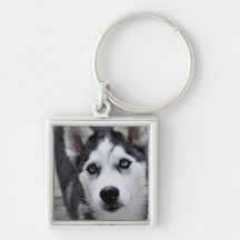 Chiot enroué Keychain Porte-clé
