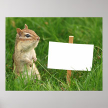 Chipmunk mit leerem Zeichen Posterdrucke