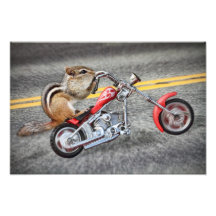 Chipmunk-Radfahrer, der ein Motorrad reitet Foto Druck