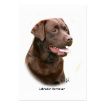 Chocolat labrador retriever cartes de visite personnelles