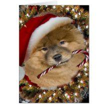 Chow-Chow-Weihnachtszuckerstange-Karten