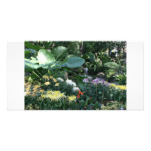 Chrysanthème Cartes De Vœux Avec Photo