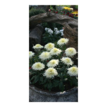 Chrysanthème Photocarte Personnalisée