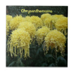 Chrysanthèmes Carreaux En Céramique