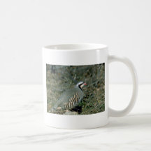 Chukar Rebhuhn Tee Tassen