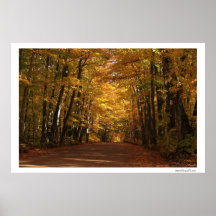 Chute dans la forêt posters