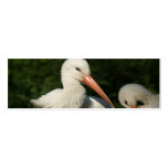 Cigogne blanche modèle de carte de visite