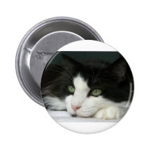 CIMG1013.JPG ANSTECKNADELBUTTON