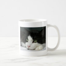 CIMG1013.JPG KAFFEETASSEN