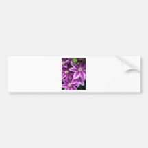 Clematis#1 Autosticker