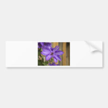 Clematis Auto Sticker