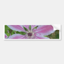 Clematis Autoaufkleber