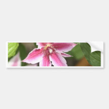 Clematis Autosticker