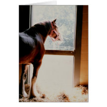 Clydesdale majestueux cartes de vœux