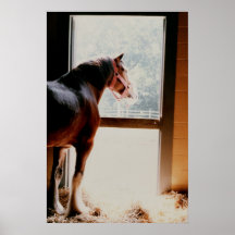 Clydesdale majestueux posters
