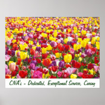 CNA's posters Nursing Assistants Dedicated Caring
