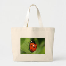 Coccinelle Sacs