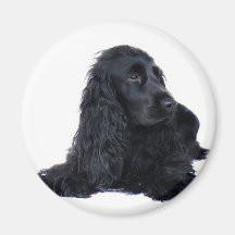 Cocker spaniel-Freundschaft Magnete