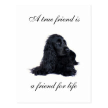 Cocker spaniel-Freundschaft Postkarte