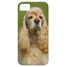 Cocker spaniel schutzhülle fürs iPhone 5