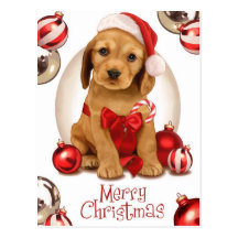 Cocker spaniel-Weihnachten Postkarten