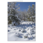 Colorado-Schönheits-Weihnachtskarte