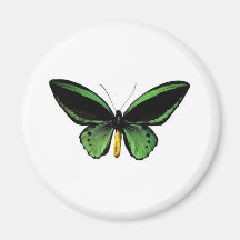 Conception unique de papillon ! aimants pour réfrigérateur