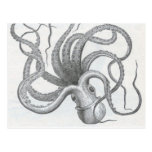 Conception vintage de poulpe nautique de steampunk cartes postales