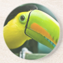 Coole Vögel Getränke Untersetzer