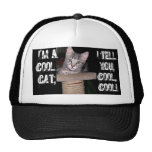 Cooler Katzen-Hut Kult Mützen