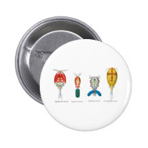 Copepods Badges Avec Agrafe
