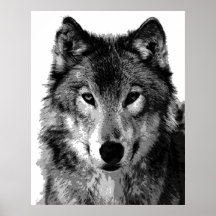 Copie d'affiche de loup gris