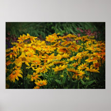 Copie de marguerite poster