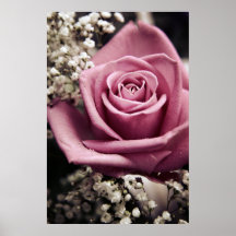 Copie de rose de cru posters