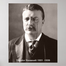 Copie de Theodor Roosevelt Poster
